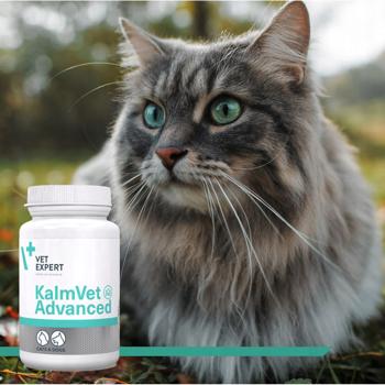Харчова добавка для собак VetExpert KalmVet Advanced 60 шт - купити, ціни на MasterZoo - фото 5