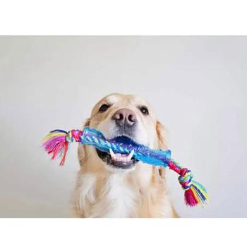 Іграшка для собак Petstages Orka Stick 3.8 см x 31.8 см x 3.8 см - купить, цены на MasterZoo - фото 2