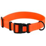 Collar Barksi Ukraine