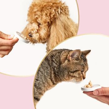 Лакомство для кошек и собак Delickcious Creamy Snack с молоком и сыром 4шт*15г - купить, цены на MasterZoo - фото 7