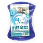 Губка лазнева Body fresh