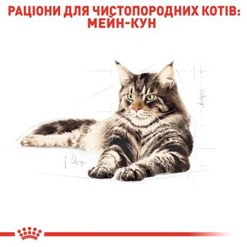 Корм сухий Royal Canin для котів породи мейн-кун 4кг + наповнювач мінеральний Catsan Гігієна Плюс 5л - купити, ціни на MasterZoo - фото 5