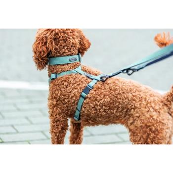 Trixie CityStyle Extra Wide Dog Collar 40-47cm/30mm Light Green - buy, prices for - photo 3