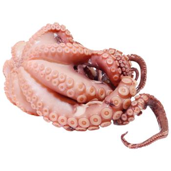 Octopus