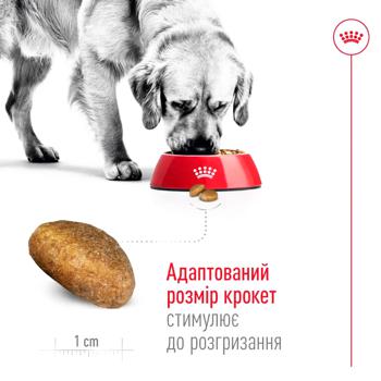 Корм сухий Royal Canin з домашньою птицею для дорослих собак великих порід 15кг - купити, ціни на - фото 3