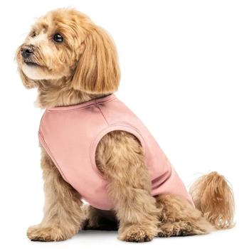 Борцовка для собак Pet Fashion Kale р.М розовый - купить, цены на MasterZoo - фото 2