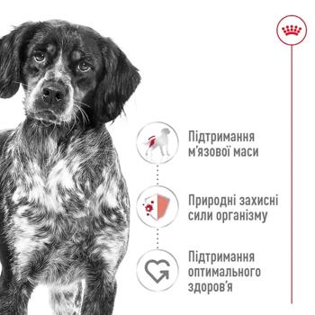 Корм сухой Royal Canin Medium Adult с домашней птицей для собак средних пород 3кг - купить, цены на MasterZoo - фото 6