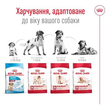 Royal Canin Medium Adult сухий корм для собак 12 кг - домашня птиця - купити, ціни на MasterZoo - фото 6