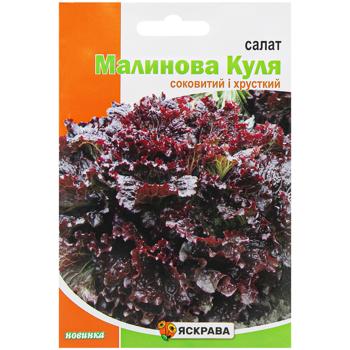 Yaskrava Crimson Ball Lettuce Seeds 5g