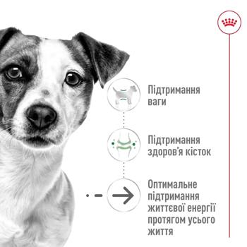 Корм сухой Royal Canin Mini Ageing 12+ для пожилых собак 800г - купить, цены на MasterZoo - фото 3