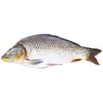 Peeled Carp with Head