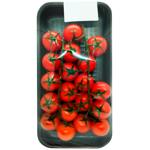 Cherry Tomatoes Netherlands