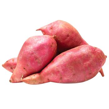 Batata Ukraine - buy, prices for Tavria V - photo 1