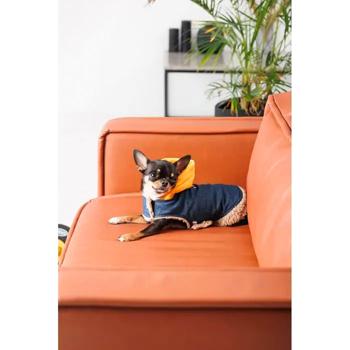 Leash Pet fashion - buy, prices for MasterZoo - photo 3