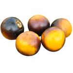 Yoom Black Tomato