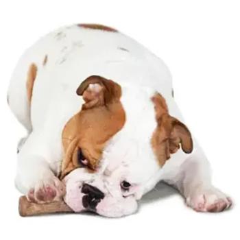 Іграшка для собак Petstages Dogwood Stick Міцна гілка 19,5х3,5х3см - купити, ціни на MasterZoo - фото 3