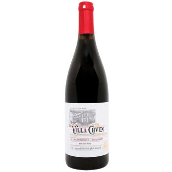 Villa Chven Alexandrouli-Dzelshavi Red Dry Wine 14% 0.75l - buy, prices for WINETIME - photo 1