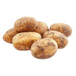 Potato