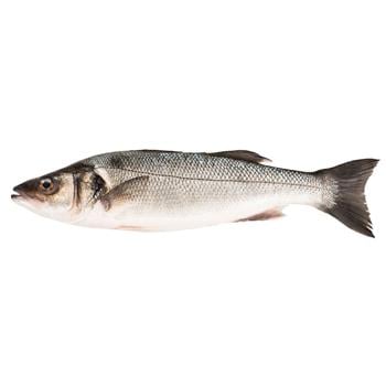 Fish seabass european fresh Greece - buy, prices for METRO - photo 1