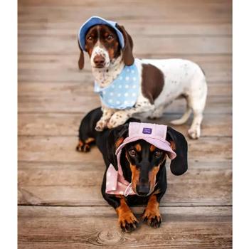Hat-Dog Panama Hat for Dogs s.XL Pink - buy, prices for MasterZoo - photo 7