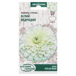 Semena Ukrayny White Bear Elegant Zinnia Seeds 0.5g