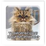 Tattooshka Sleepy Cat 3D Sticker