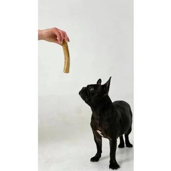 HealthyDoggo Coffee Tree Stick Dog Toy S 14-15cm - buy, prices for MasterZoo - photo 7