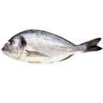 Дорадо охлажденная