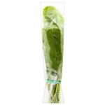 Sorrel Bundle 100g