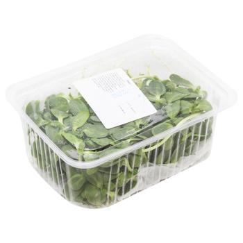 Микрогрин подсолнечника 50г - купить, цены на ULTRAMARKET - фото 2