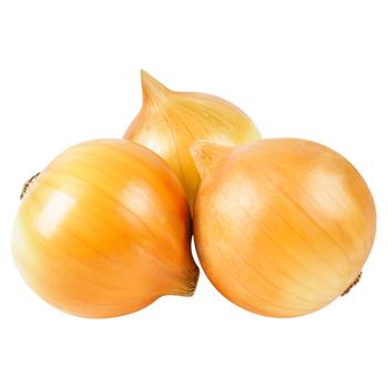 Onion Egypt