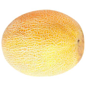 Amal Melon - buy, prices for Vostorg - photo 1