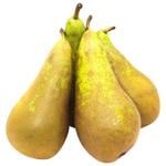 Pear Elite