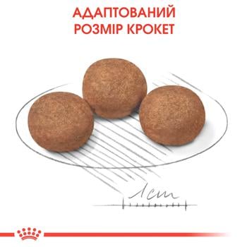 Корм сухой Royal Canin с домашней птицей для щенков средних пород 12+3кг - купить, цены на MasterZoo - фото 7