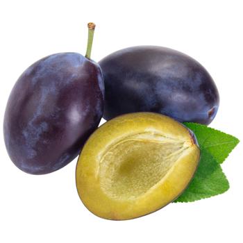 Blue Plum Import - buy, prices for Torba - photo 1