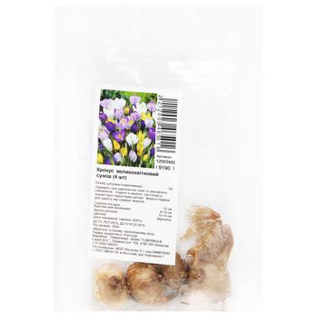 Mix Large-Flowered Crocus Bulbs 4pcs - buy, prices for MegaMarket - photo 1