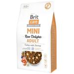 Dog food Brit 2000g