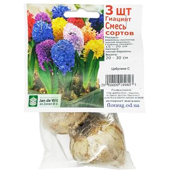 C Bulbs - buy, prices for Tavria V - photo 3