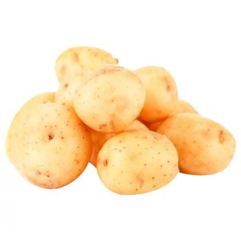 Ukraine Young Medium Potatoes