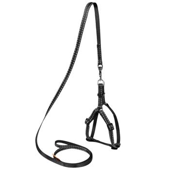 Leash Collar - buy, prices for MasterZoo - photo 1