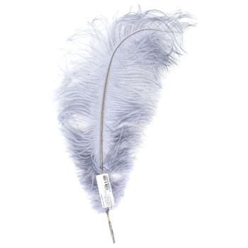 Ostrich Feathers 40-45cm 1pc in Assortment - buy, prices for Za Raz - photo 3