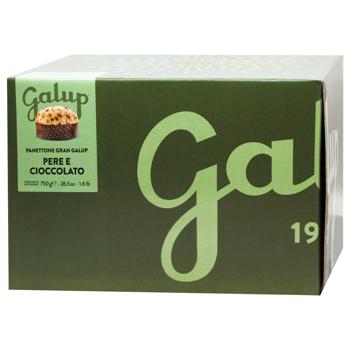 Galup Panettone with Chocolate Chips and Pear 750g - buy, prices for WINETIME - photo 1