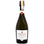 Вино ігристе Teresa Rizzi Prosecco Brut біле сухе 11% 0,75л