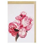 Kinza Greeting Postcard