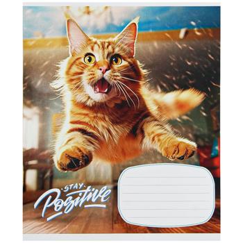 Shkolyaryk Notebook in Line 18 sheets in assortment - buy, prices for Auchan - photo 2