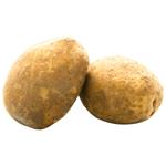 КАРТОПЛЯ ЕКОНОМ ВАГОВА