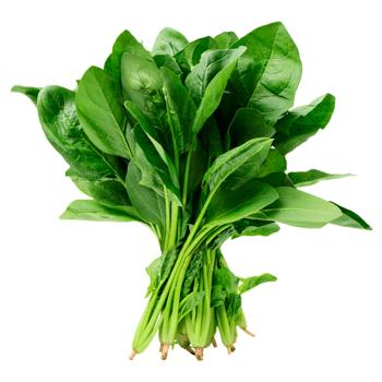 Sorrel bunch, pc - buy, prices for COSMOS - photo 1