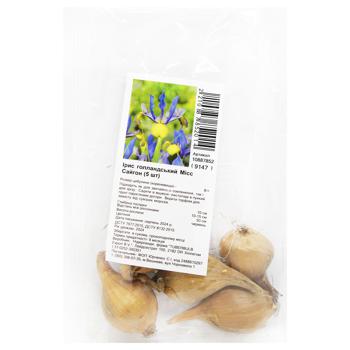 Hollandica Miss Saigon Iris Bulbs 5pcs - buy, prices for MegaMarket - photo 1