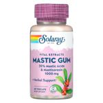 Solaray Mastic Gum 1000mg 45 capsules