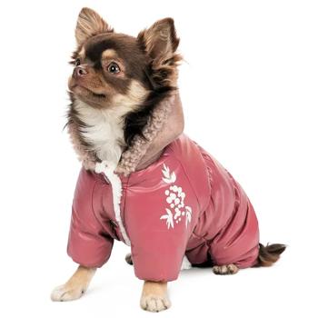 Combination Pet fashion - buy, prices for MasterZoo - photo 3